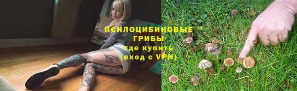 ГАЛЛЮЦИНОГЕННЫЕ ГРИБЫ Козельск