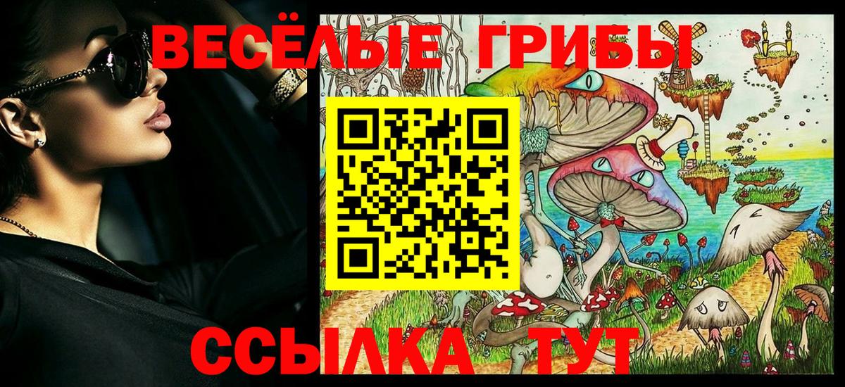 Краснокаменск  Псилоцибиновые грибы прущие грибы  Вход с VPN 